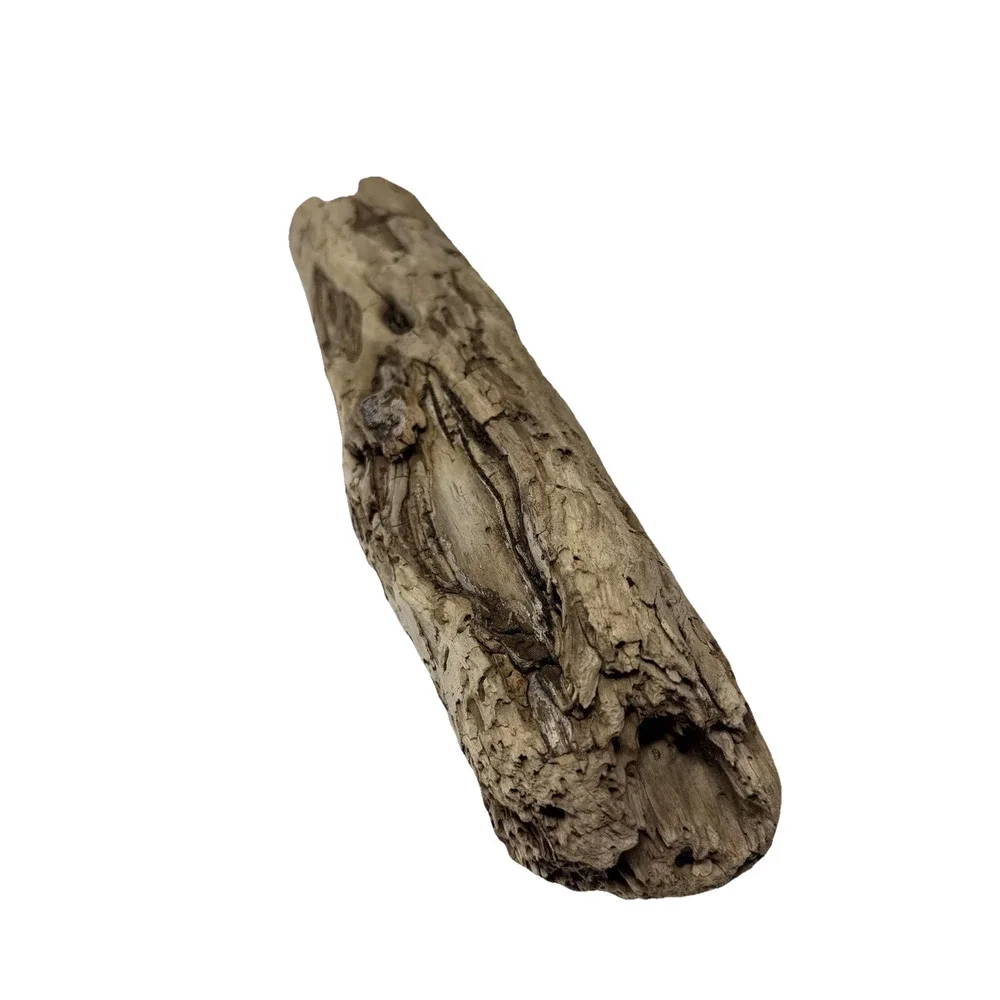 California Coast Driftwood Log – Sculpted Erosion Cavities 14” Natural